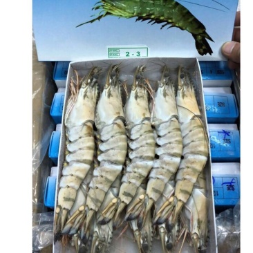 明虾冻虾