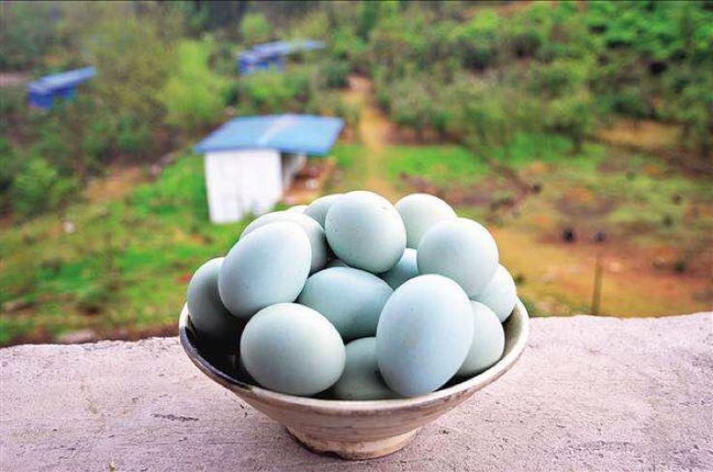 绿壳鸡蛋食用50g以下