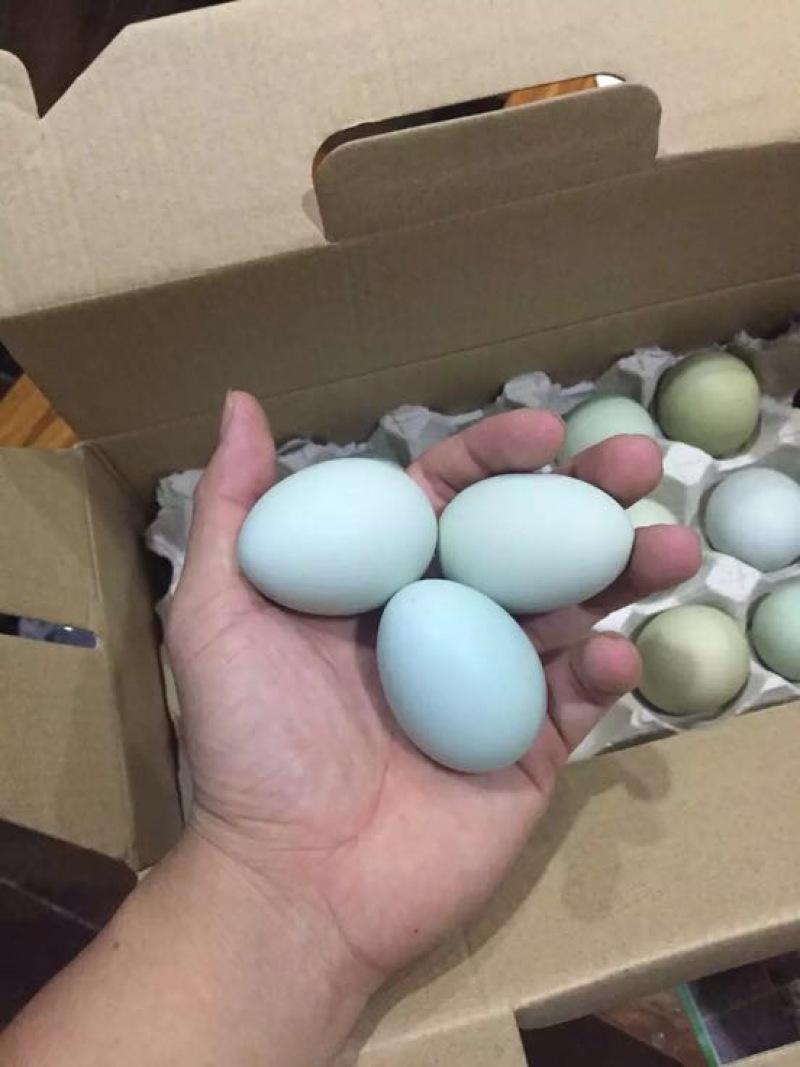 绿壳鸡蛋食用50g以下