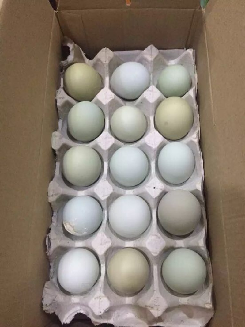 绿壳鸡蛋食用50g以下