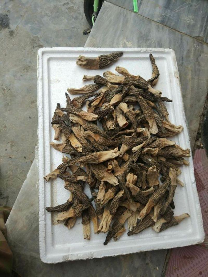 羊肚菌干货