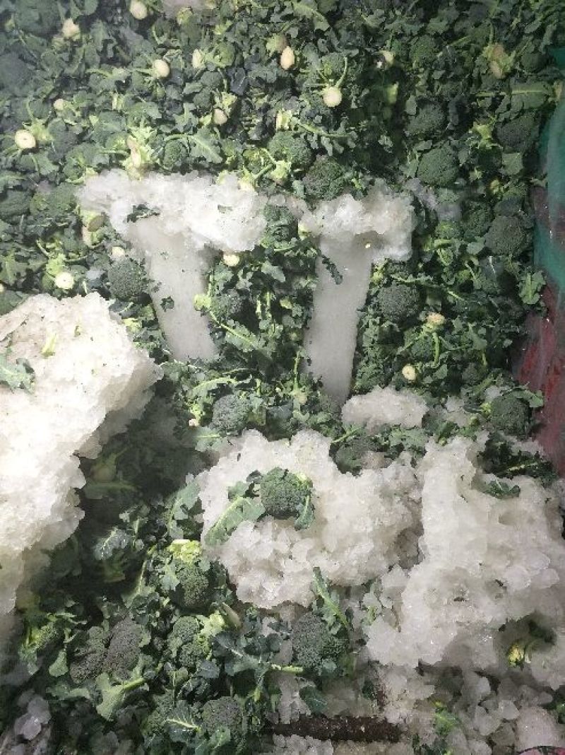 西兰花炎秀