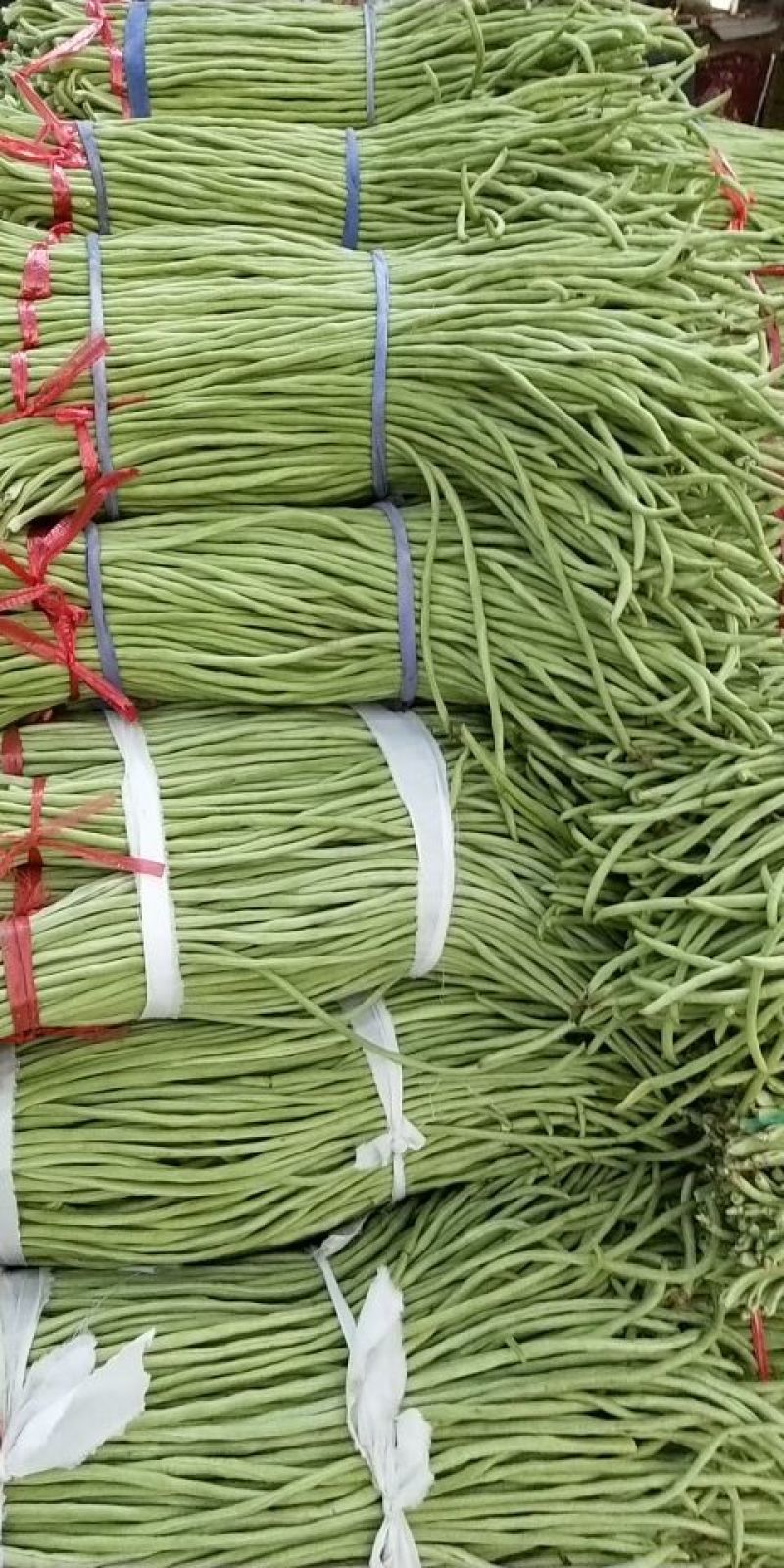 豆角