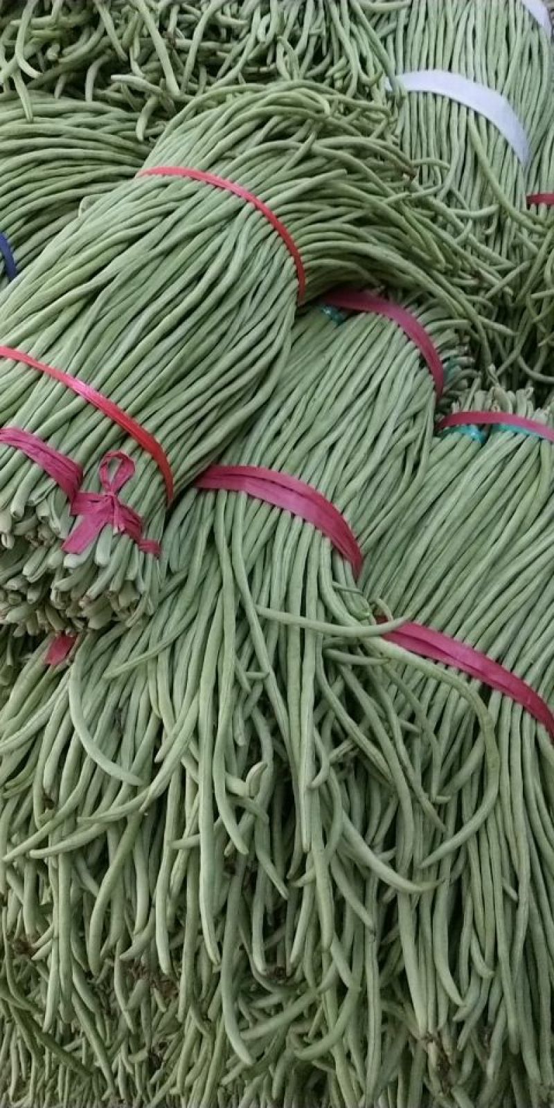 豆角