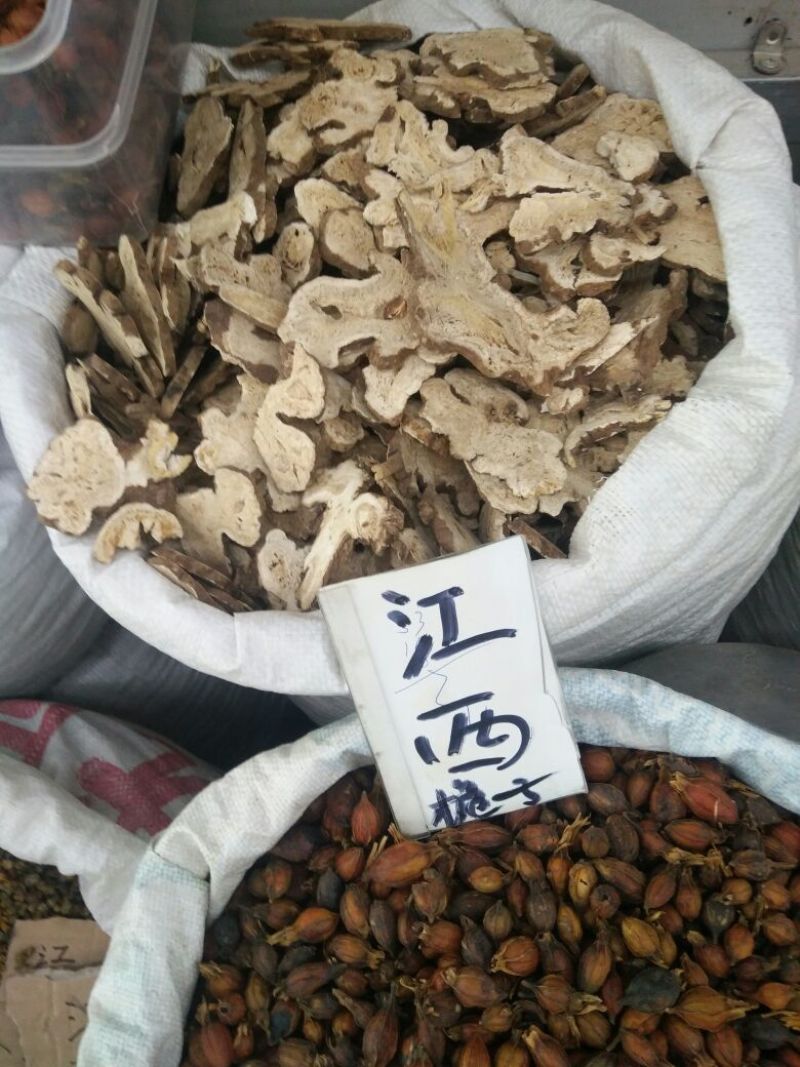 江西栀子，白术，野菊花
