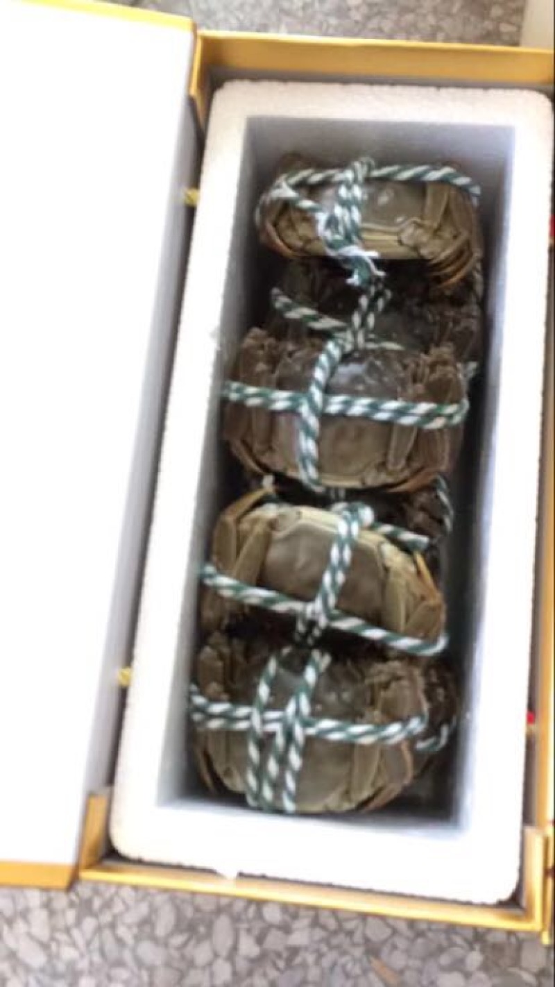 固城湖大闸蟹规格齐全，货源充足，价格随行就市！欢迎咨