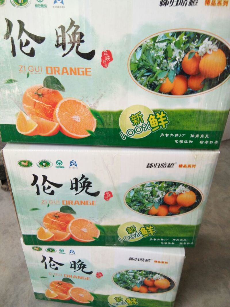 伦晚脐橙，枝头鲜果，看中即采，味道甜水份足