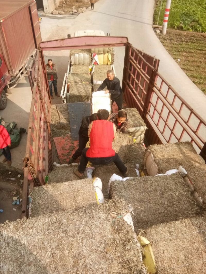 三年以上陈艾存放三年以上时间现货80吨元现货