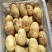 荷兰十五土豆通货1两以上