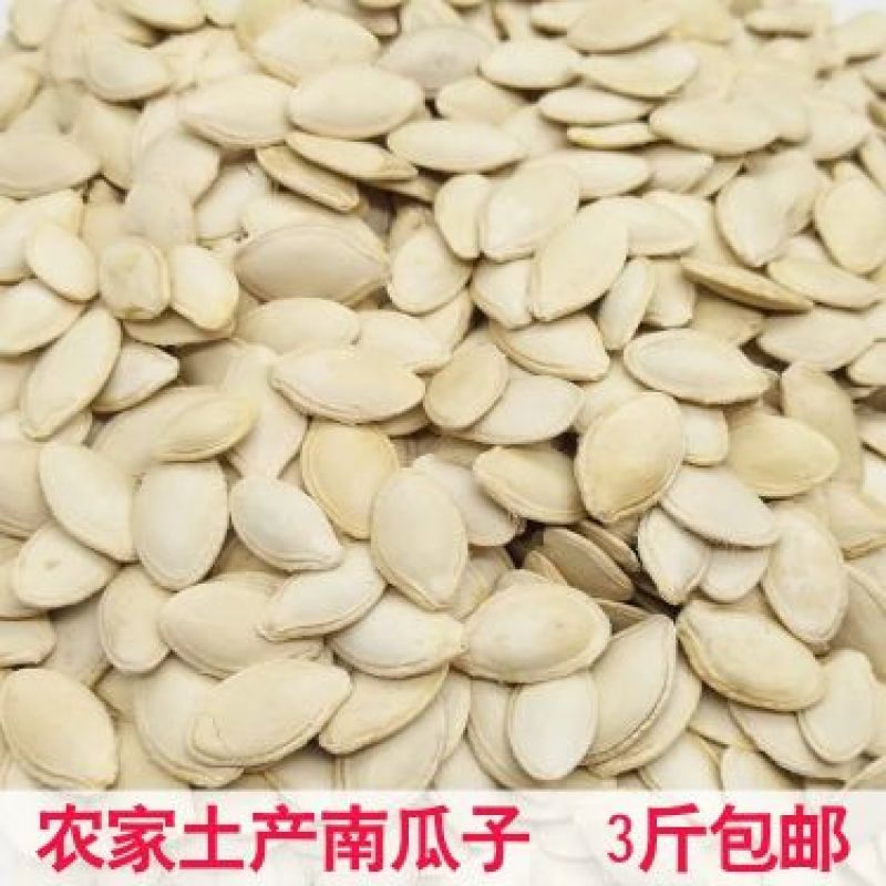 农家生南瓜籽百色高寒山区天然生南瓜籽5