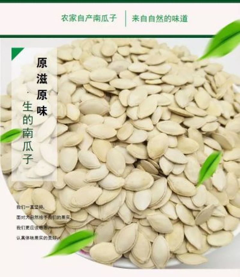 农家生南瓜籽百色高寒山区天然生南瓜籽5
