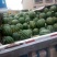 麒麟西瓜8斤打底9成熟1茬