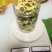 菊花金丝菊，皇菊，贡菊，香菊