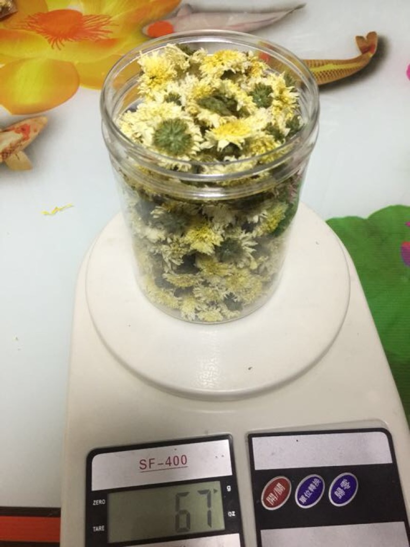 菊花金丝菊，皇菊，贡菊，香菊
