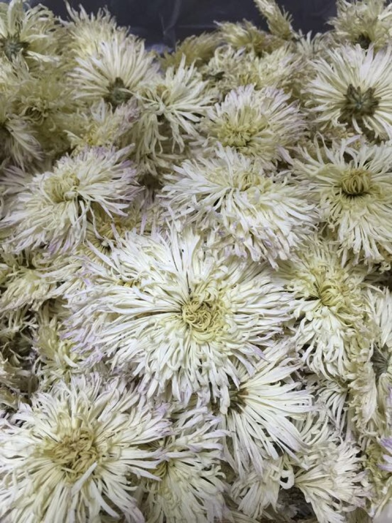 菊花金丝菊，皇菊，贡菊，香菊