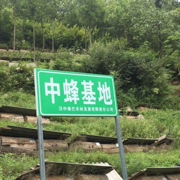 土蜂蜜5斤