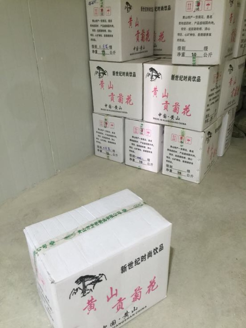菊花黄山贡菊