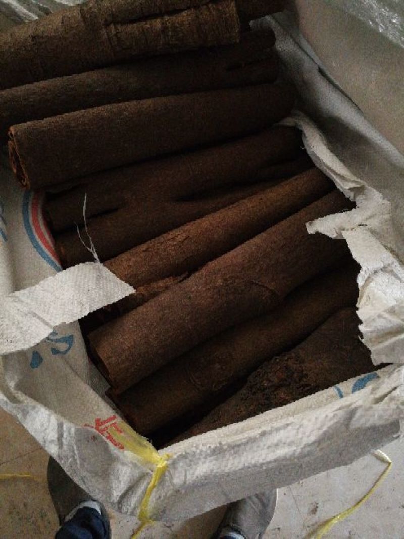 桂皮散装中通