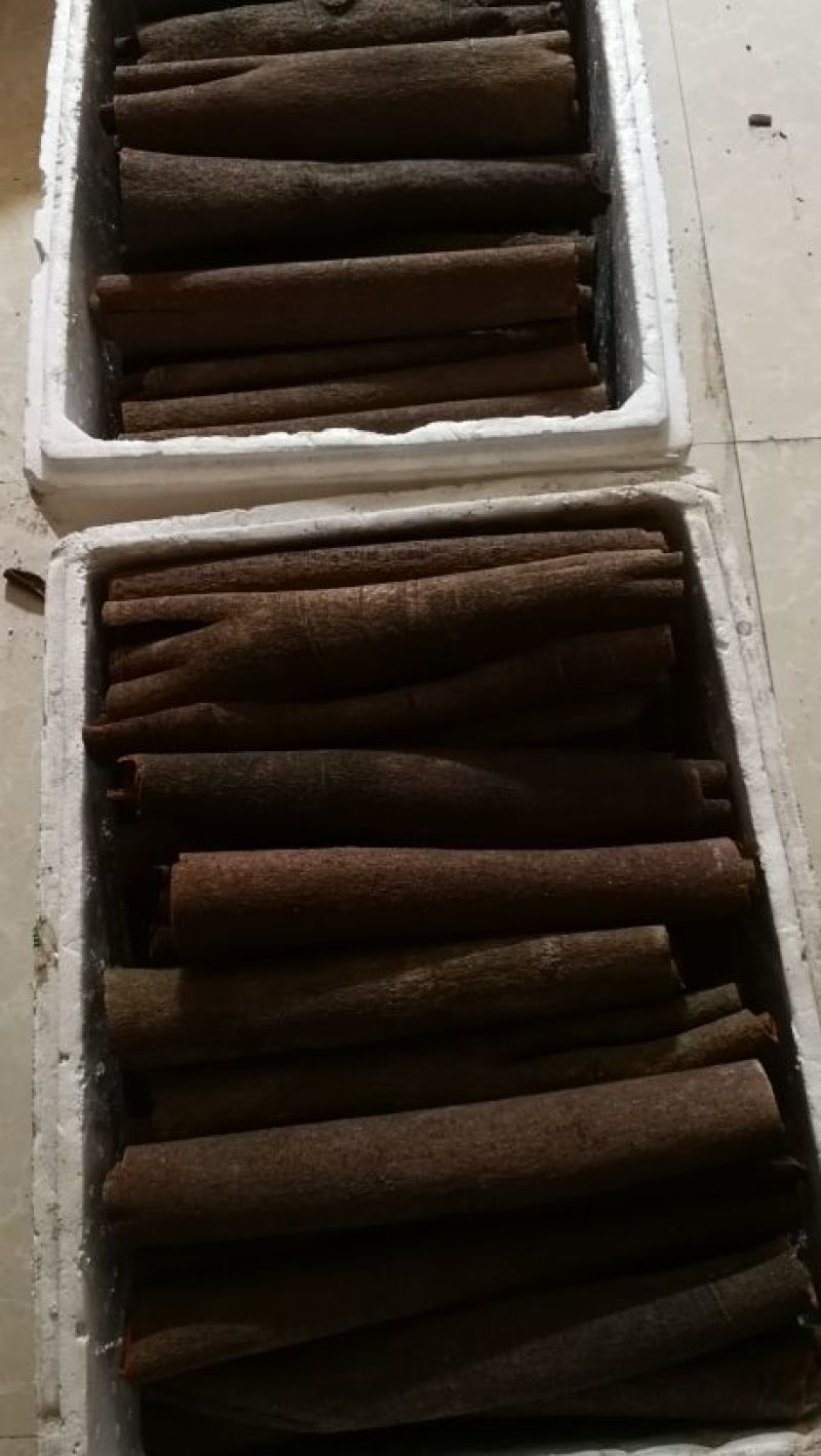 桂皮散装中通