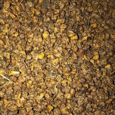 有少量野菊花干品供应!