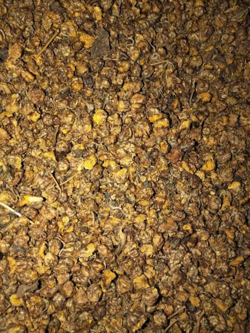 有少量野菊花干品供应!