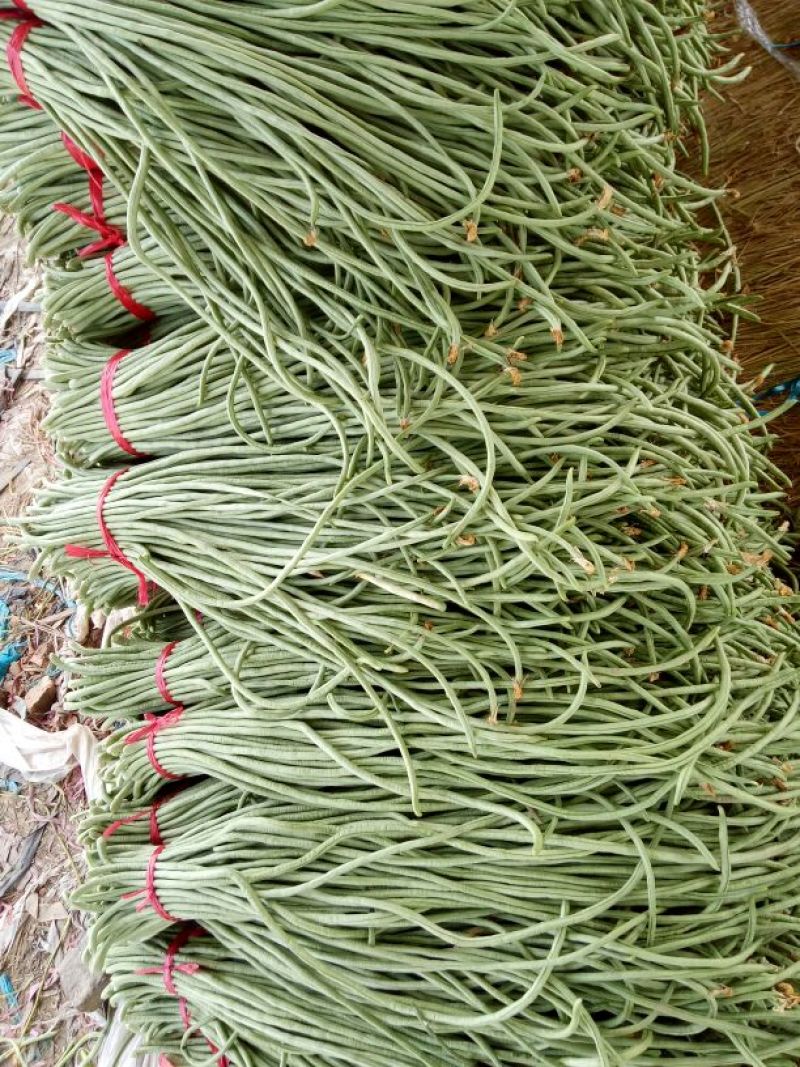 精品豆角，质量保证，价格合