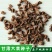 纯新大黄籽大黄种子发芽率高颗粒饱满产地批发