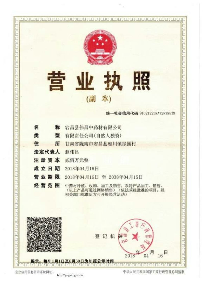 纯新大黄籽大黄种子发芽率高颗粒饱满产地批发