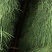 蒜薹金乡手拔红帽蒜薹大量供应质优价廉