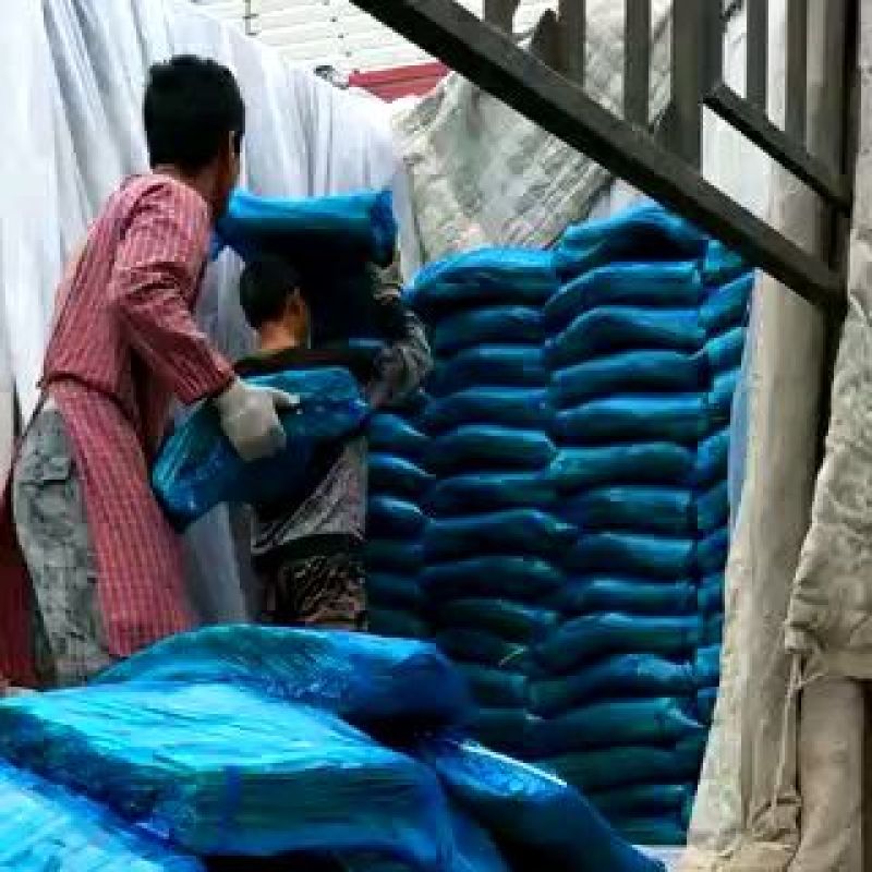 蒜薹金乡手拔红帽蒜薹大量供应质优价廉