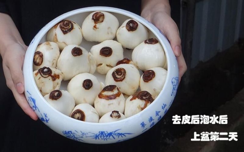 水仙花之尾球