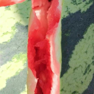 绿霸西瓜甜口感好价格便宜