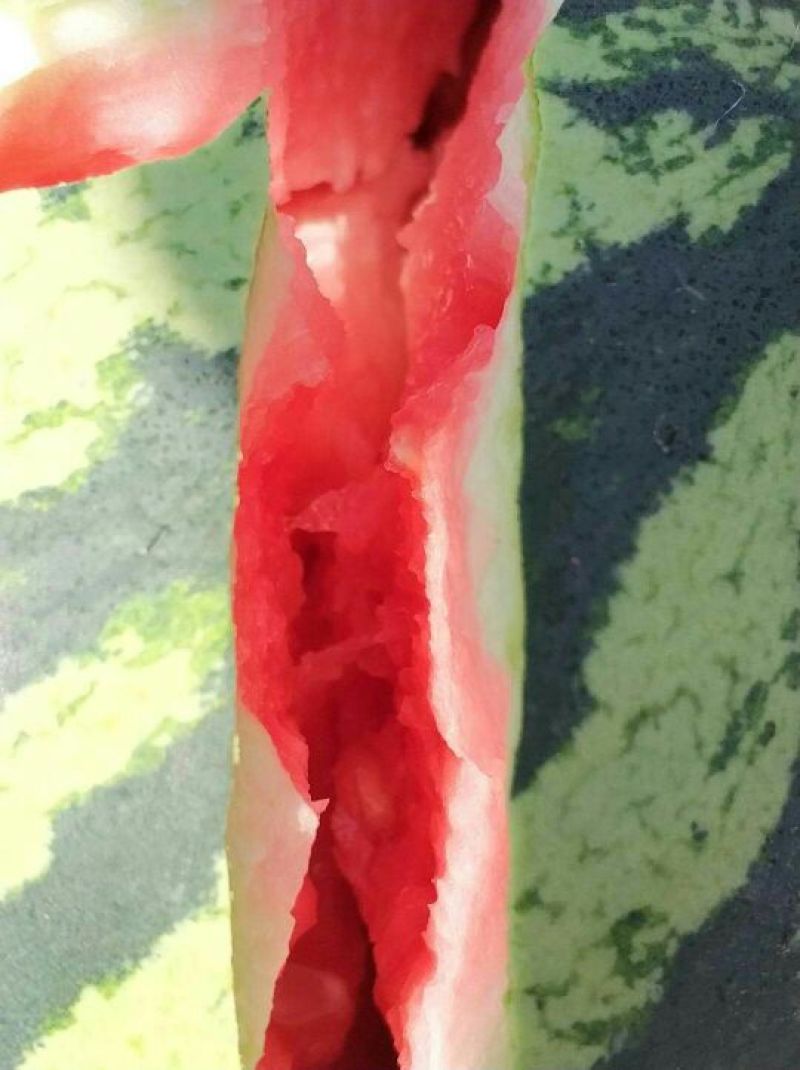 绿霸西瓜甜口感好价格便宜
