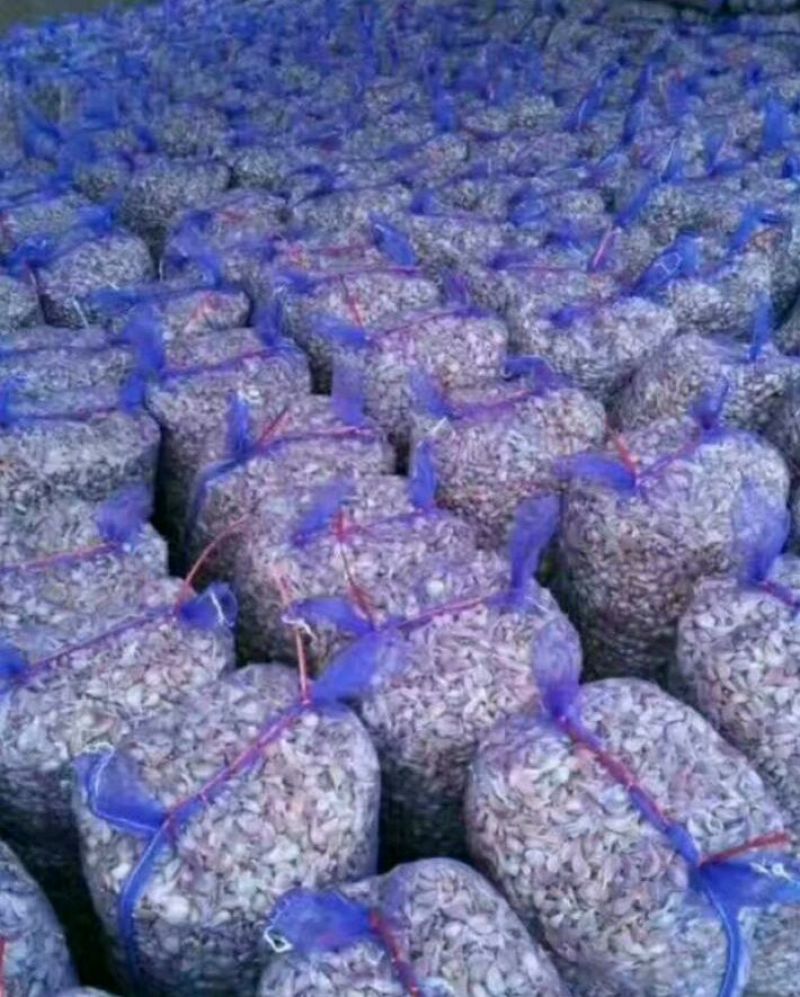 川蒜种，四川二水早蒜种，，毛胡苔蒜，欢迎客商前来选购！