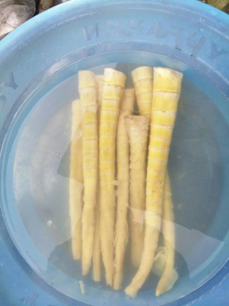 贡菜，