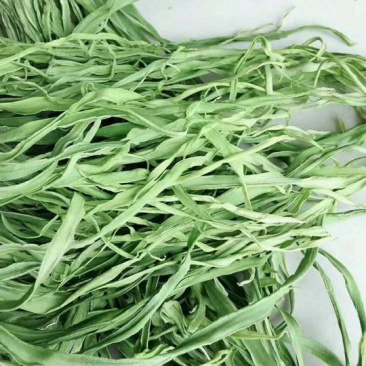 贡菜，