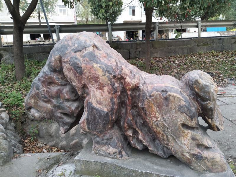 皂角，景观石
