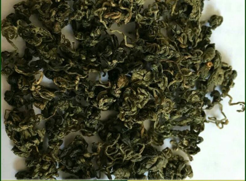 中药材绞股蓝绞股蓝茶