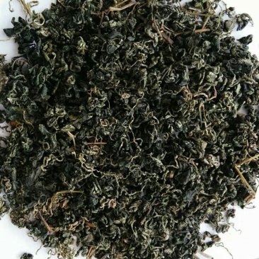 中药材绞股蓝绞股蓝茶
