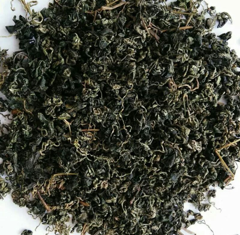 中药材绞股蓝绞股蓝茶
