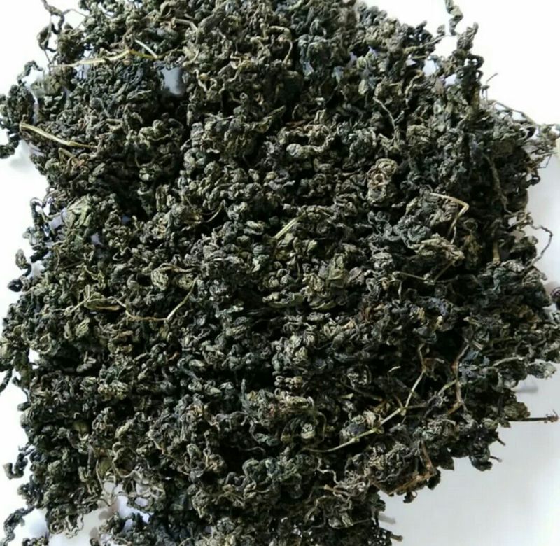 中药材绞股蓝绞股蓝茶