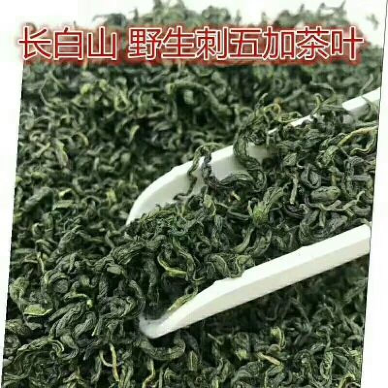 长白山绿茶刺五加叶茶精选新鲜野生刺五加嫩叶包邮