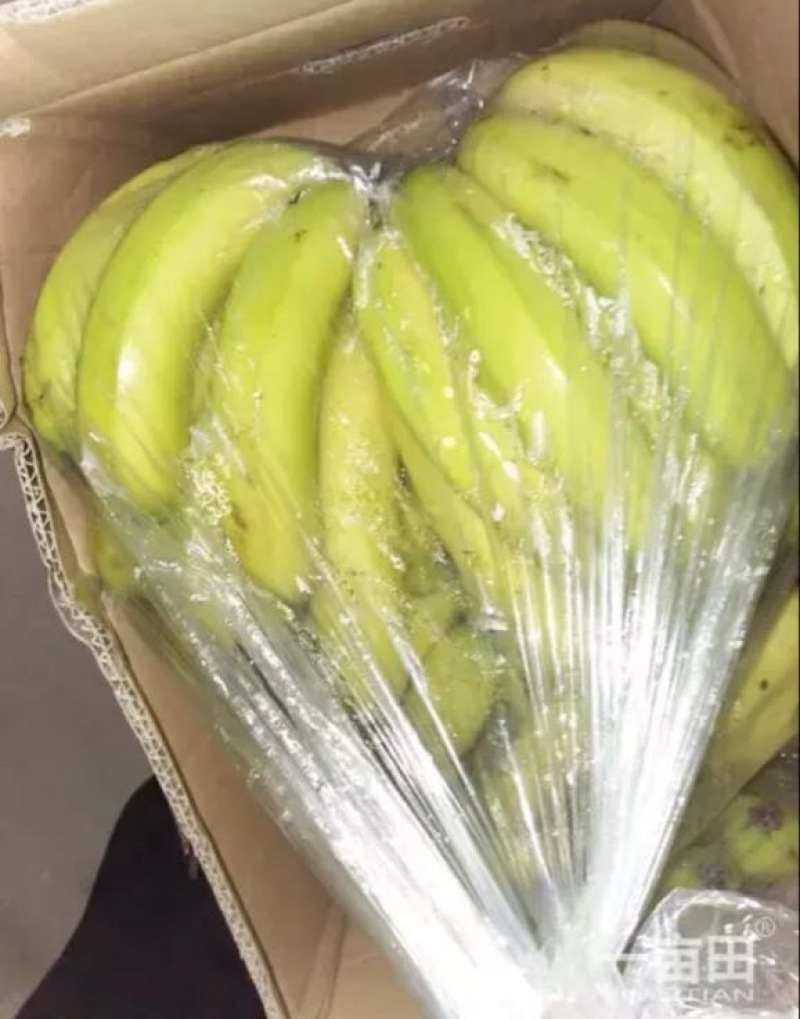 优质香蕉