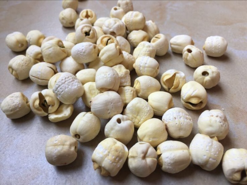 白莲子特级干莲子，基地直销，保质保量