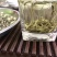 茉莉花茶高档浓香型花茶250克×2罐/件现货包邮