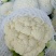 菜花，优质，精品，菜花