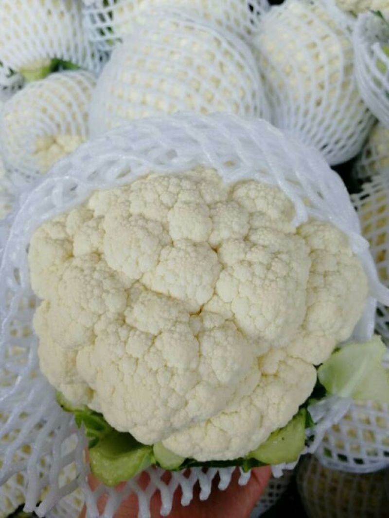 菜花，优质，精品，菜花