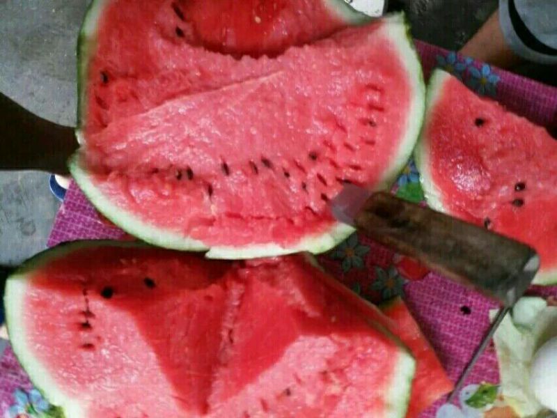 美都·甜王·薄皮沙瓤包熟包甜产地直销