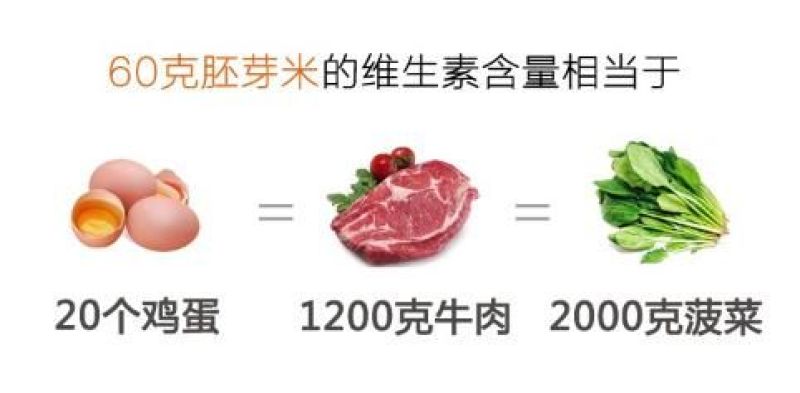 智能家用胚芽米机