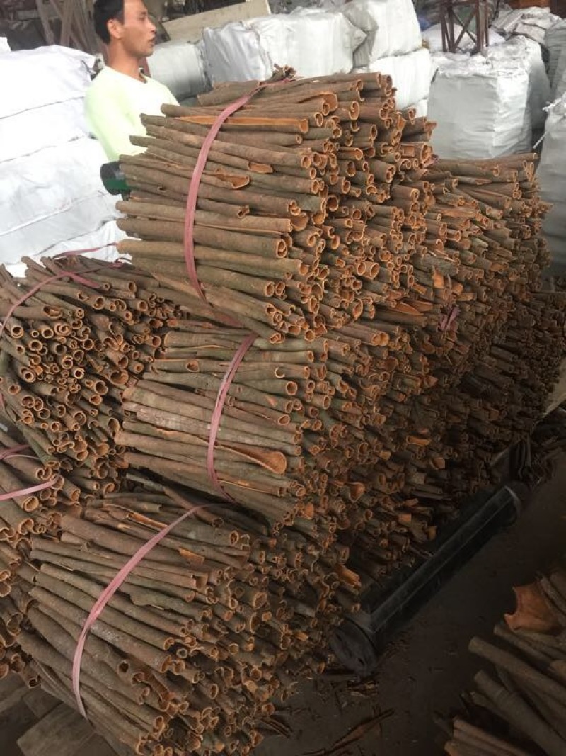 广西桂皮肉桂玉桂大桂通中通广西发货
